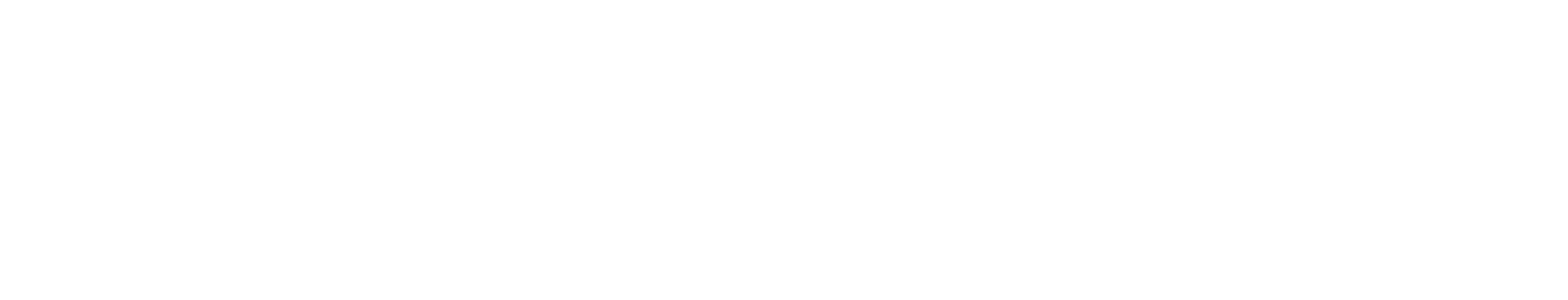Metrika Consulting